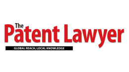 Patent Lawyer